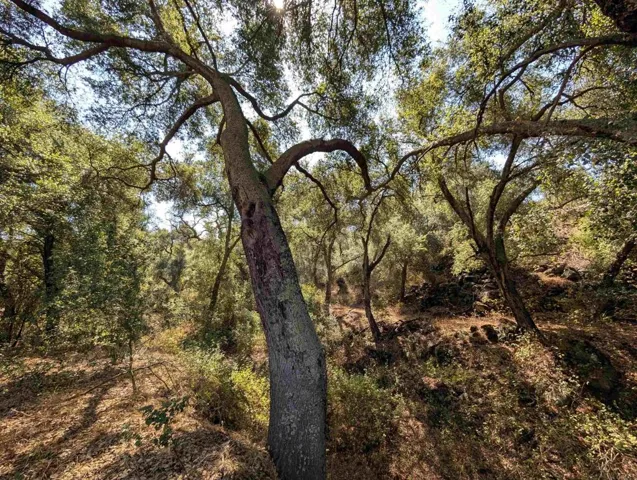 18868 Paradise Mountain Road, Valley Center, California 92082