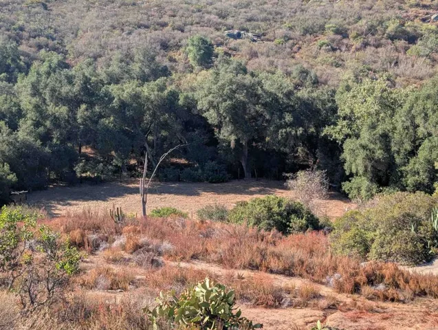 18868 Paradise Mountain Road, Valley Center, California 92082