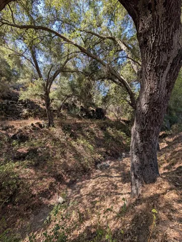 18868 Paradise Mountain Road, Valley Center, California 92082