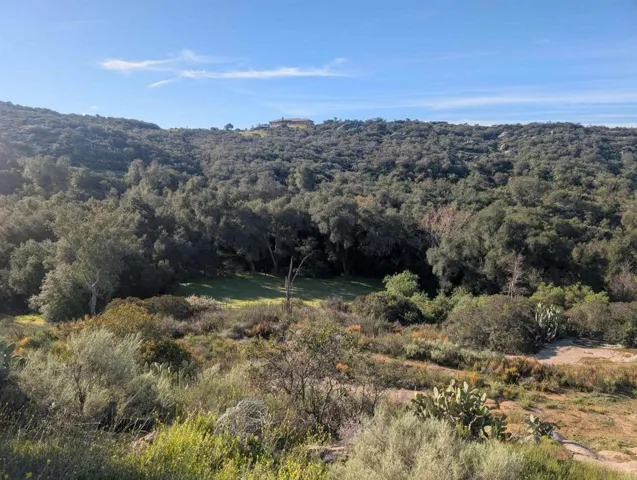 18868 Paradise Mountain Road, Valley Center, California 92082