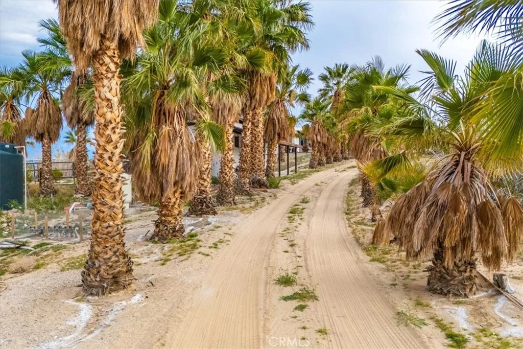 75775 Joe Davis Drive, 29 Palms, California 92277 — photo 4