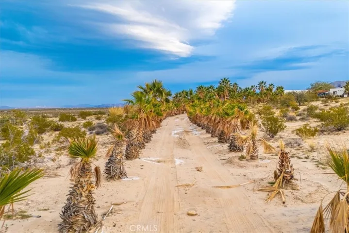 75775 Joe Davis Drive, 29 Palms, California 92277