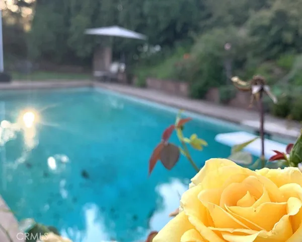 26261 Veva, Calabasas, California 91302