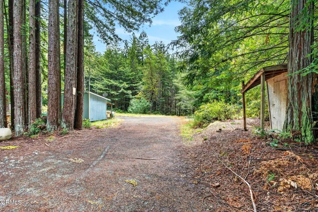 46-web-or-mls-ClearShotCreastions-08067