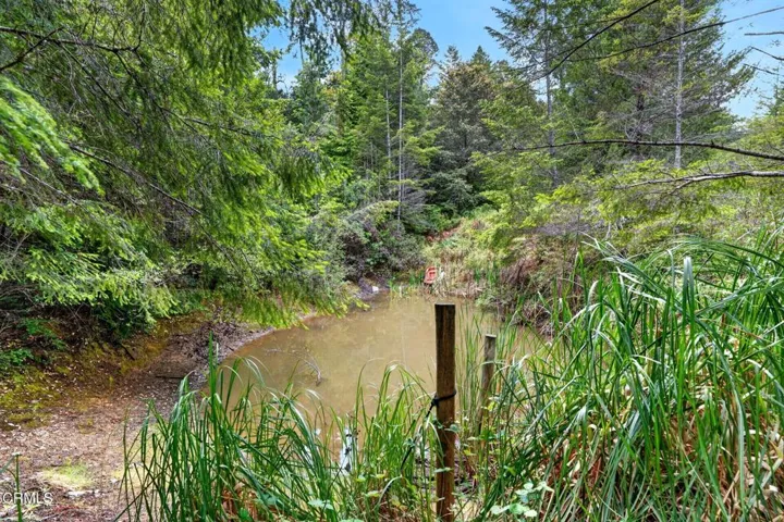 12-web-or-mls-ClearShotCreastions-08242