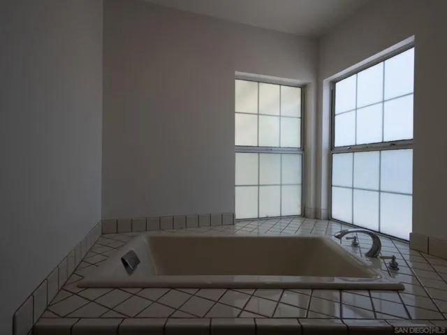 Primary Bath/Spa