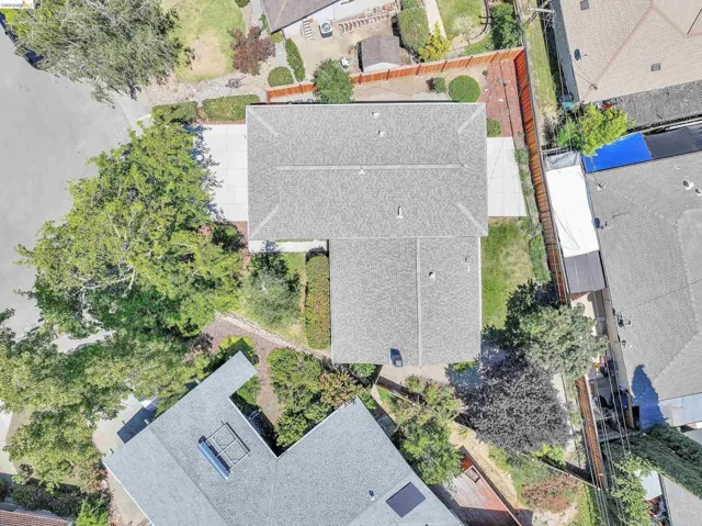 Residence featuring a gray shingle roof, concrete driveway, and established landscaping