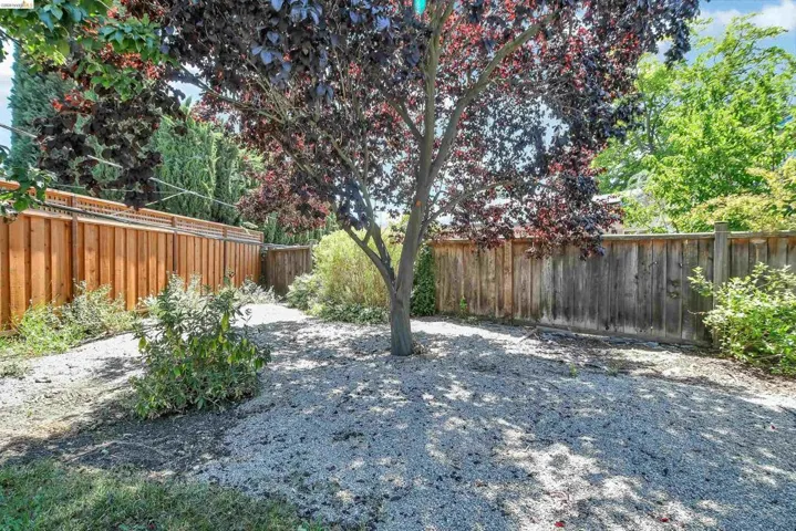 Expansive backyard featuring a mature tree with dark foliage, gravel ground cover, and a mix of wood and lattice fencing
