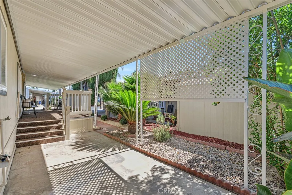 Backyard 1