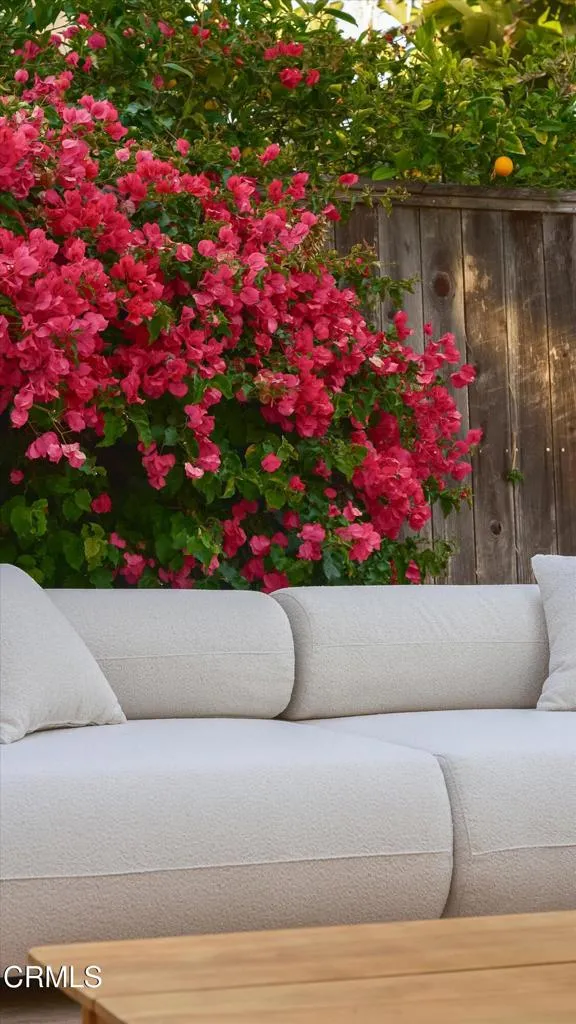 LUSH GARDEN
