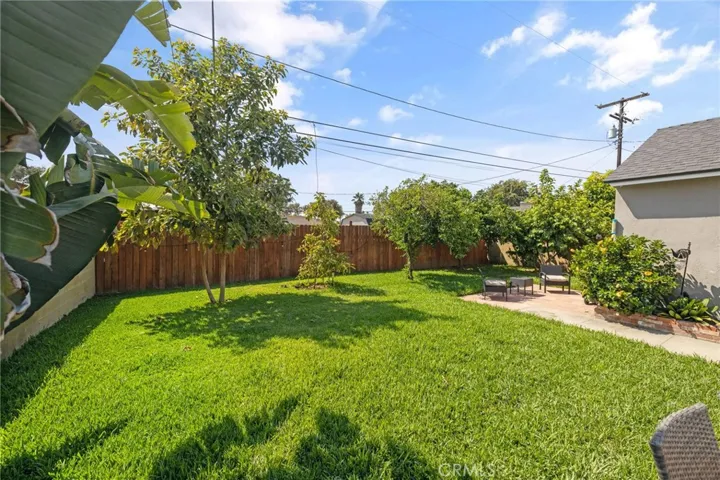 Back-yard with fruit trees
