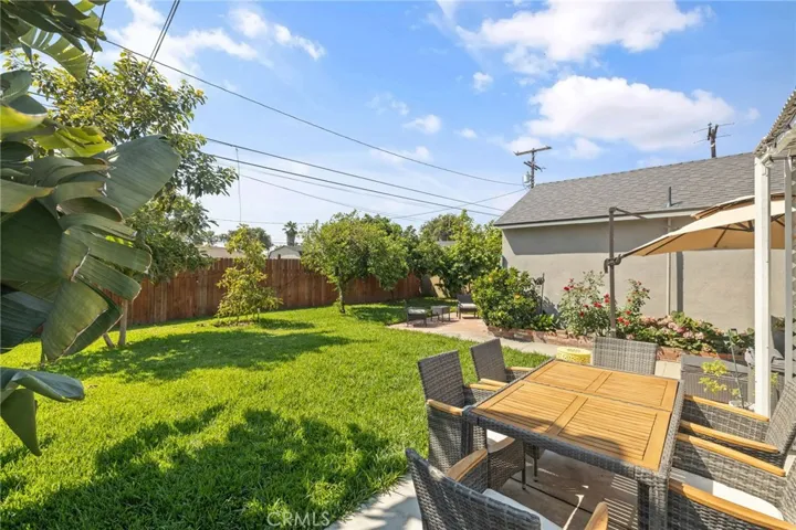 Lush Back-yard
