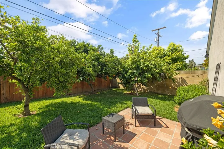Fruit trees-Lemon, avocado