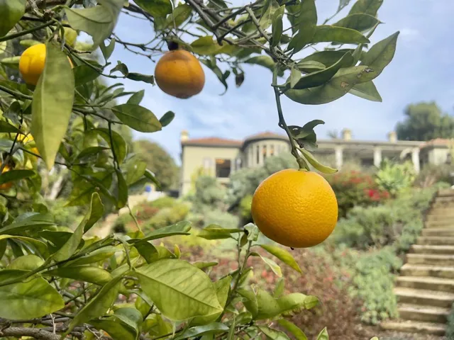 16653 Avenida Molino Viejo, Rancho Santa Fe, California 92067