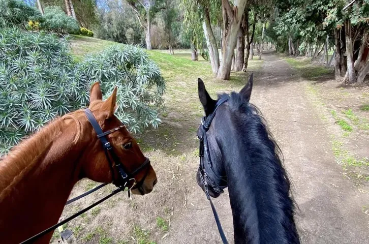 16653 Avenida Molino Viejo, Rancho Santa Fe, California 92067