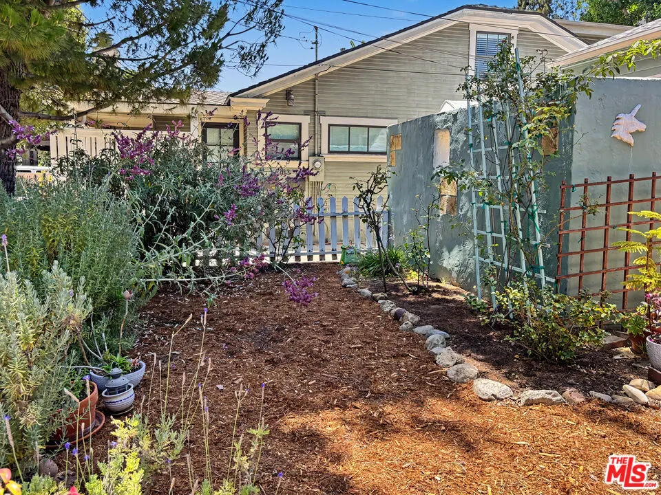 front yard