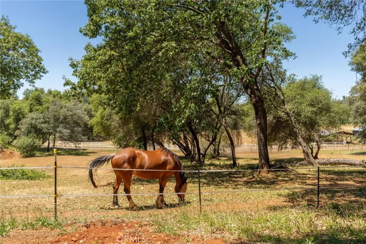 3463 Cherokee Road, Oroville, California 95965