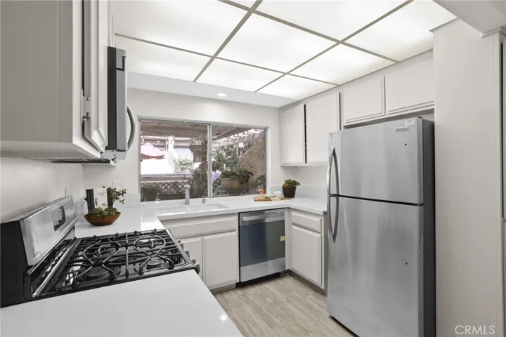 Newer dishwasher and refrigerator.