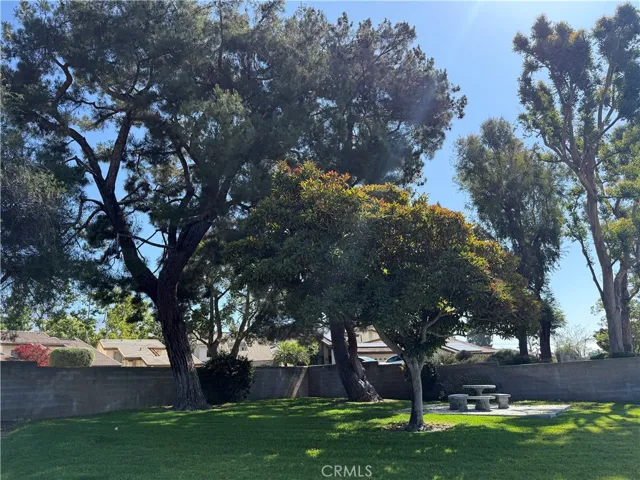 Common Area Picnic Area