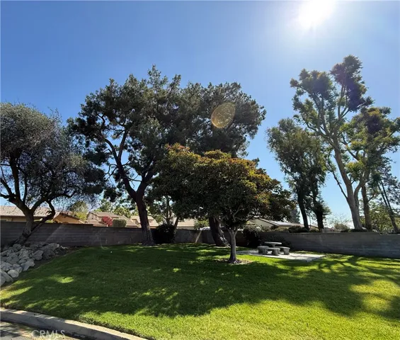 Common Area Picnic Area