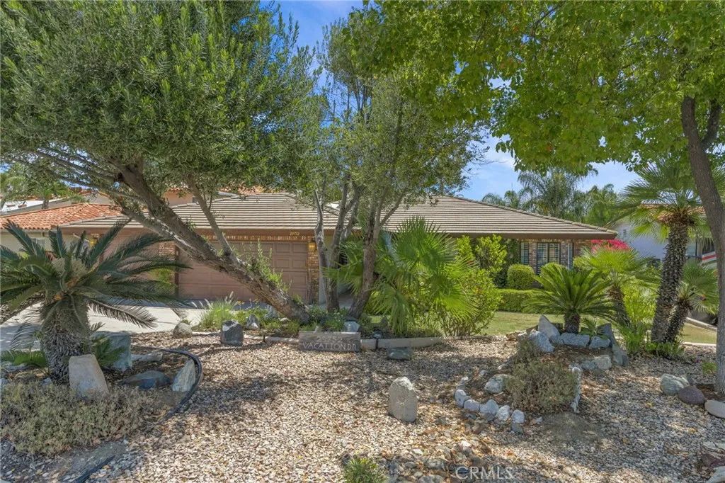 Front yard from street view