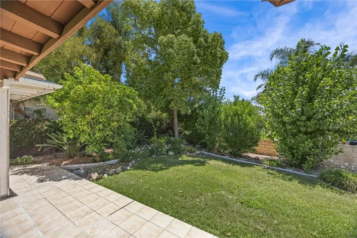 Backyard lawn & mature trees