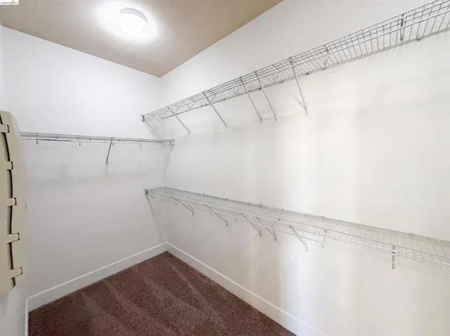 Spacious walk-in closet featuring wire shelving, plush carpeting, and a flush-mount ceiling light