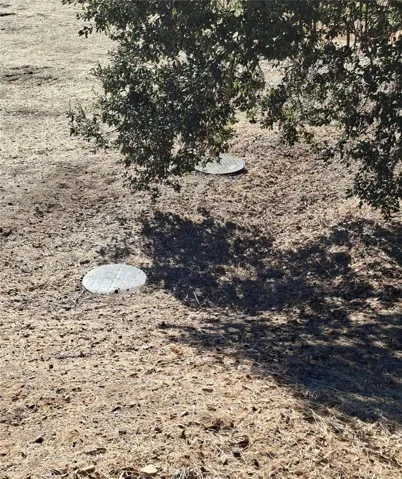 Septc Lids