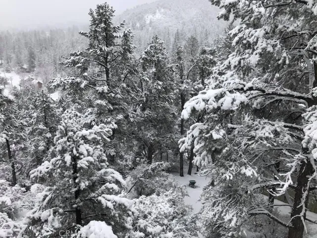 Winter beauty