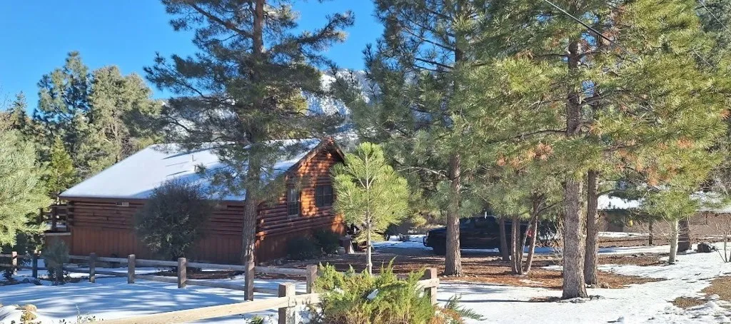 The cabin in the snow