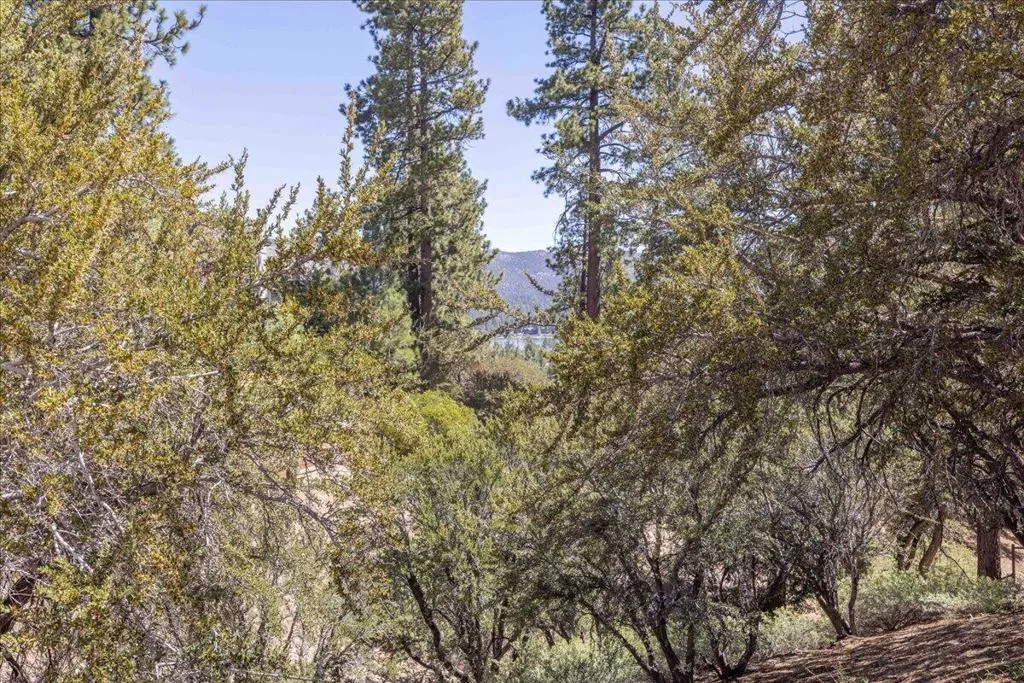 09-Lot 8