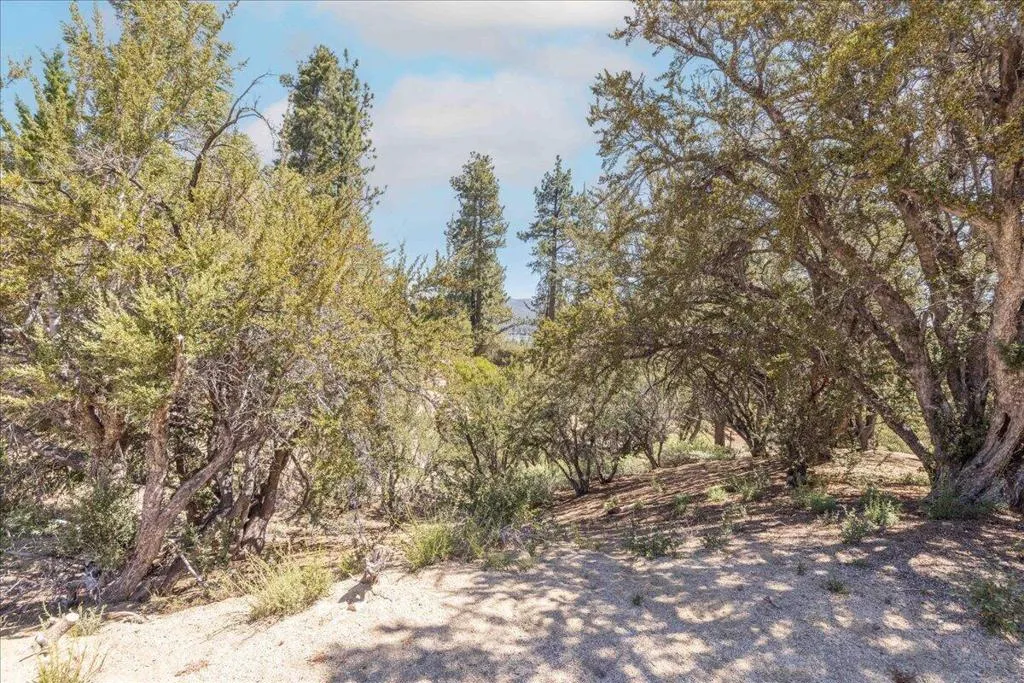 08-Lot 7