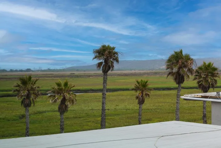 Estuary view from bedroom