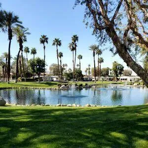 The Canyon Community