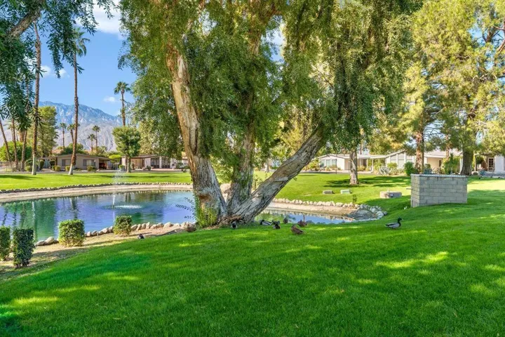 The Canyon Community