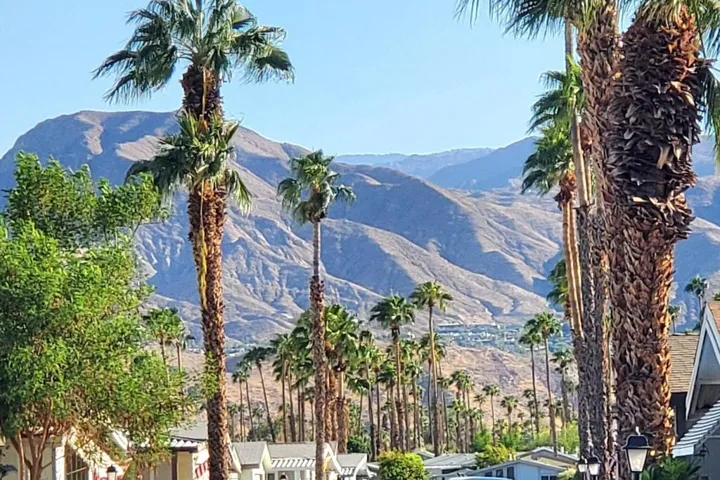 The Canyon Community