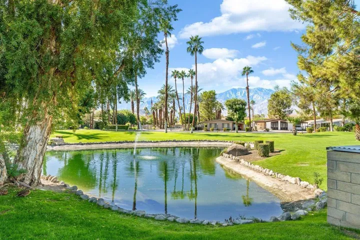 The Canyon Community