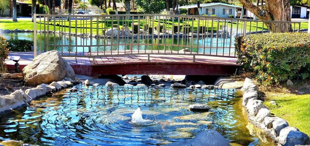The Canyon Community