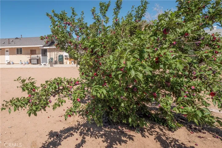 10707 Redwood, Hesperia, California 92345