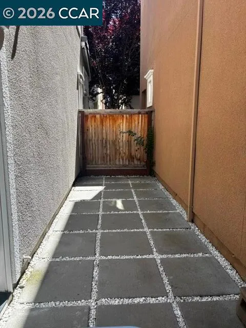 dog run or garden