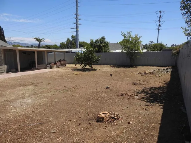 Backyard