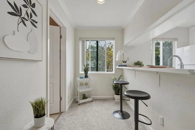 41 Grandview Street 805, Santa Cruz, California 95060