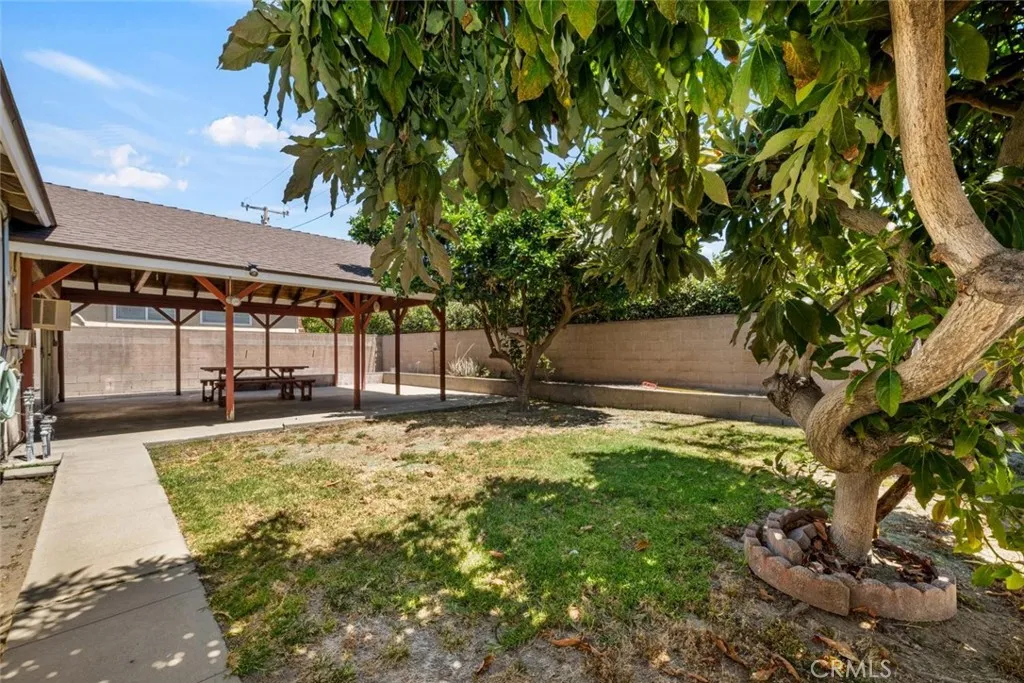 The backyard also offers Mature avocado and orange trees.