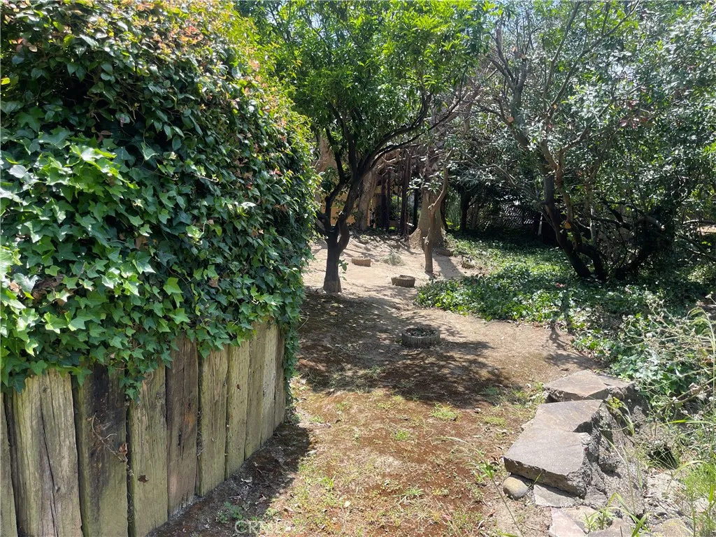 Backyard Fruit Trees
