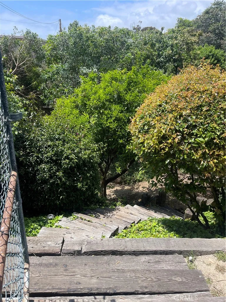 Backyard Fruit Trees