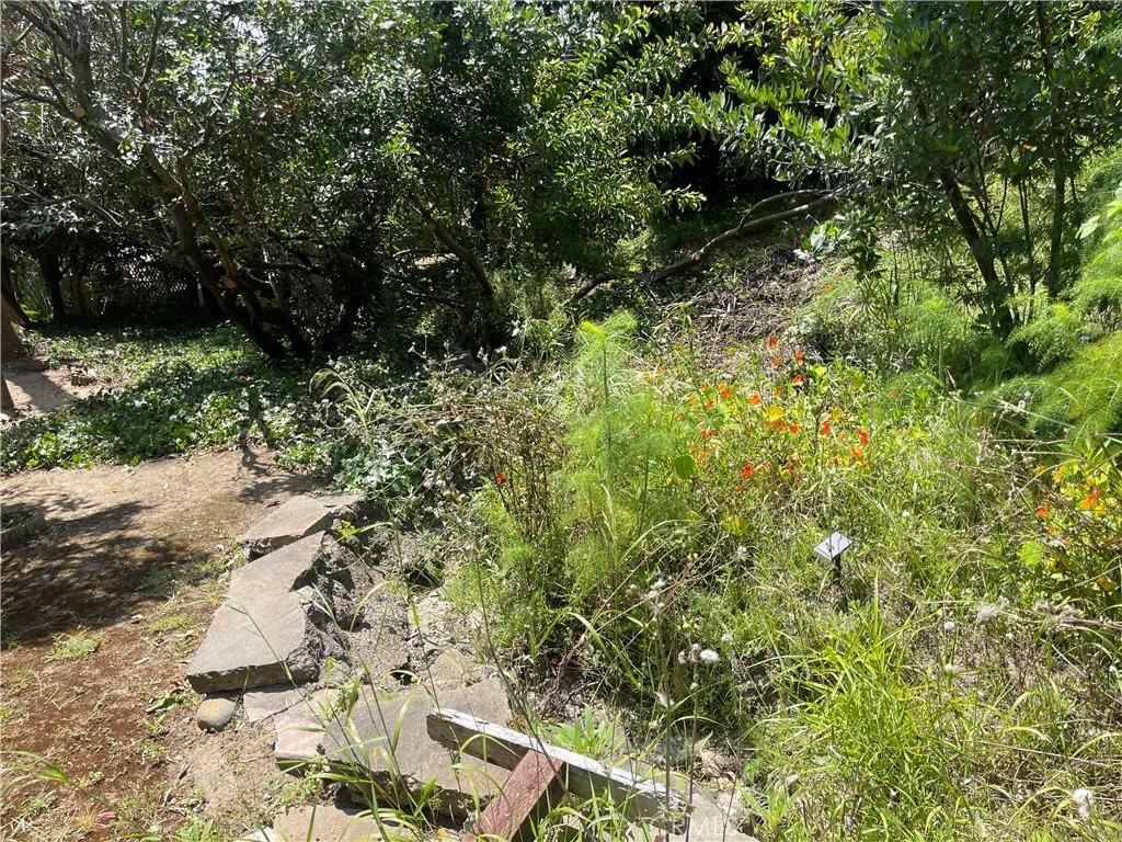 Backyard Fruit Trees