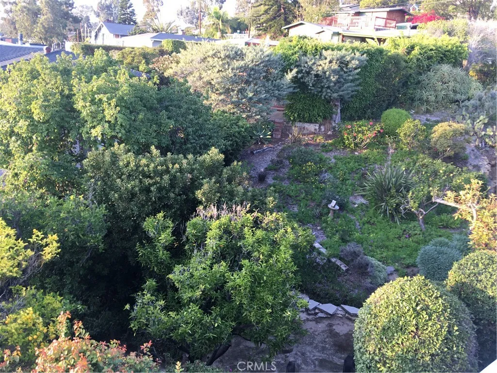 Over View Backyard Fruit Trees and Respite