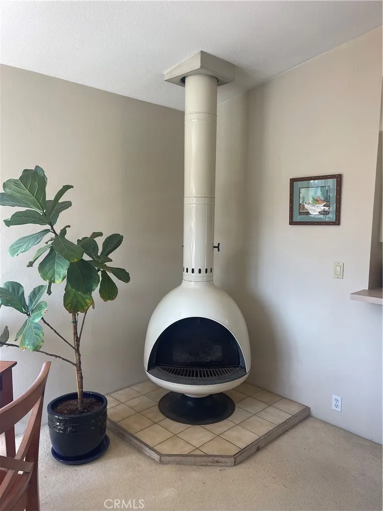 Living Fireplace