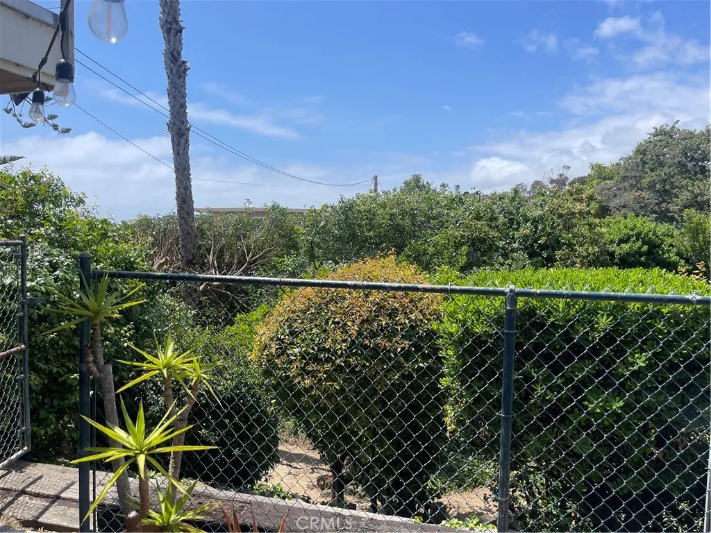 Backyard Vies
