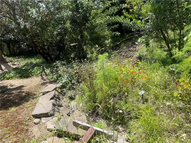 Backyard Fruit Trees